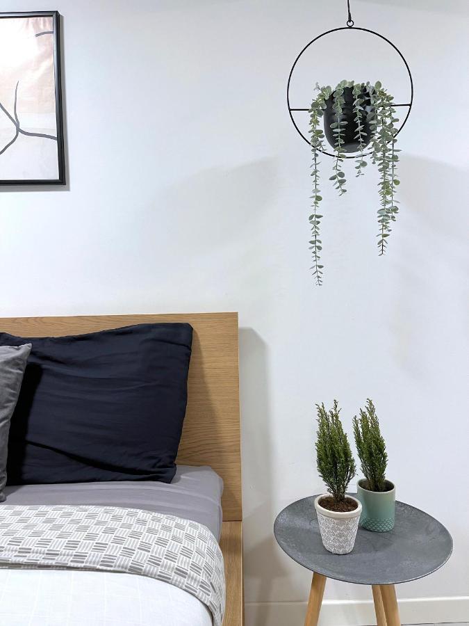 The Hidden Studio; Comfy & Close To The Lake لوغانو المظهر الخارجي الصورة